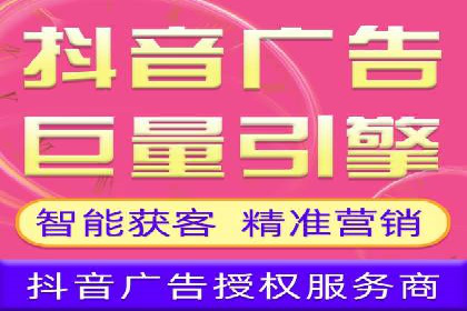 某电商平台的SEM广告投放策略及效果评估